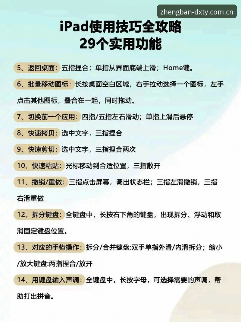 德信体育移动端功能详解：从入门到精通的完整使用指南